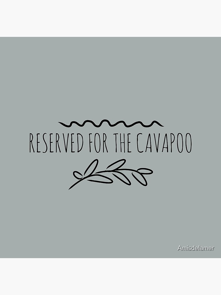 Reserved for the cavapoo by Amisdelamer