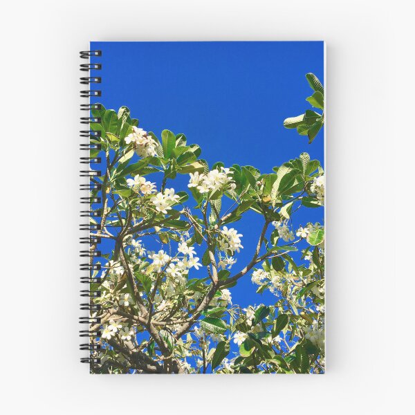 Item preview, White flowers against the bluest sky designed and sold by LH-studio.