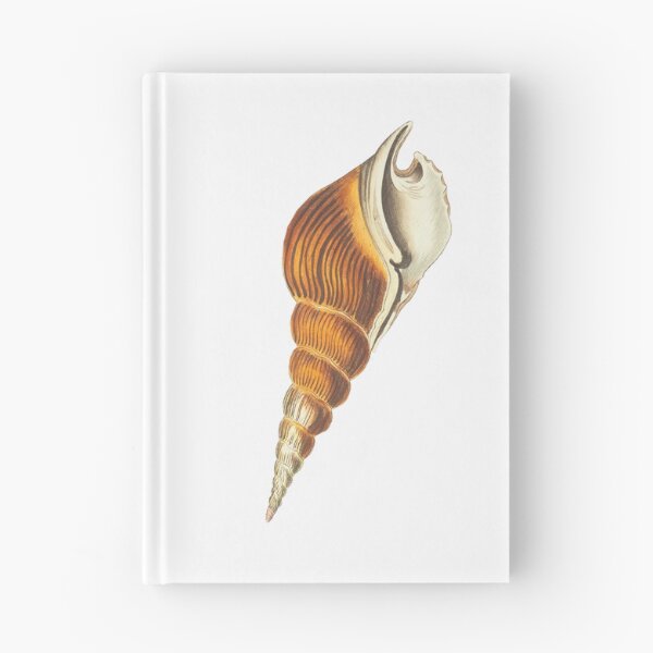 Item preview, Vintage shell designed and sold by KAY Artists.