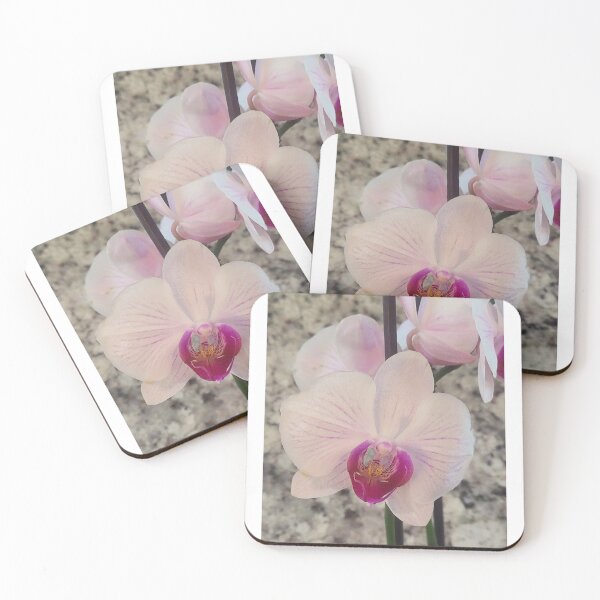 Item preview, Pink and white phalaenopsis orchids designed and sold by RadMomCreations.