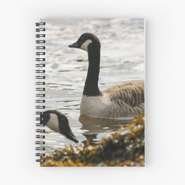 Item preview, Canada Goose pair designed and sold by GreyFeatherPhot.