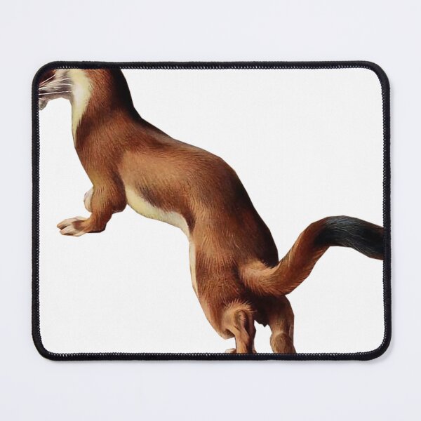 Item preview, Ottermans designed and sold by KAY Artists.