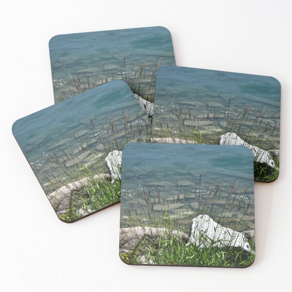 Item preview, Tall Grass Stems on a Rocky Shore designed and sold by DeannesStore.