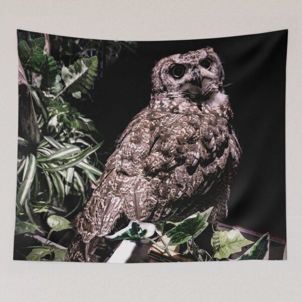 Item preview, Tokyo in May: Handsome Hooter designed and sold by Chancelrie.
