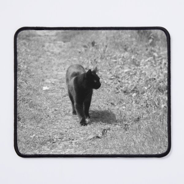 Item preview, black cat designed and sold by Francespoppy.