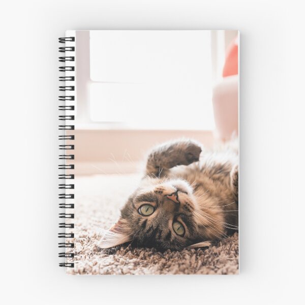 Item preview, Curious Cat Upside Down (Close up) designed and sold by buchholzart.