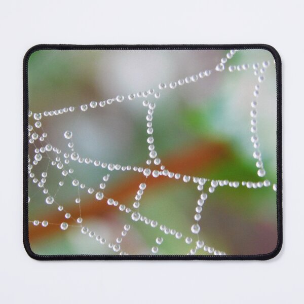 Item preview, Raindrops and Cobweb designed and sold by Paws and Ink Art.