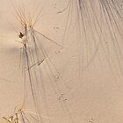 «De donde vinieron» de Kathilee