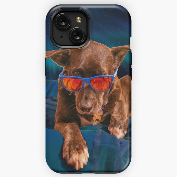 Pug Beach Dog Sunglasses Soft Case For Women Men Large Zipper