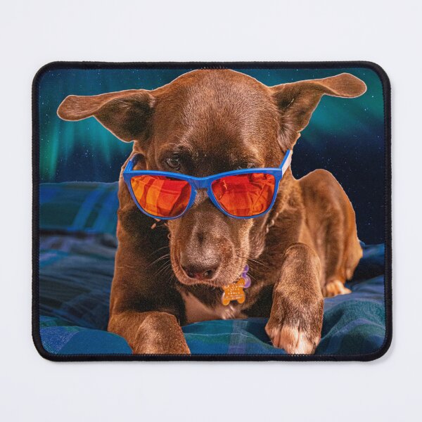 Item preview, Cool Dog Chilling With Sunglasses designed and sold by DaveFilm.
