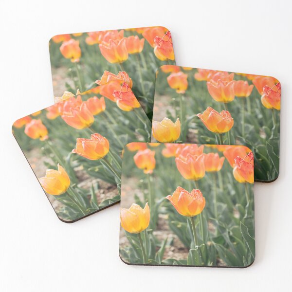 Item preview, Spring Flower (Tulips in Forest Park St. Louis, Missouri designed and sold by buchholzart.