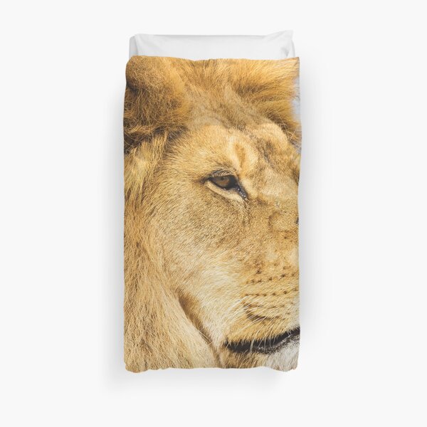 Big lion looking far away Duvet Cover