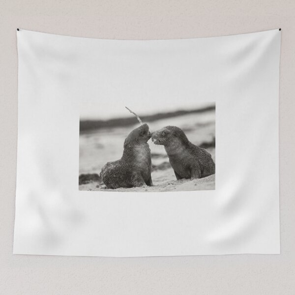 Item preview, Playing Seal Lion Pups of Australia designed and sold by Puttaswamy Ravishankar.