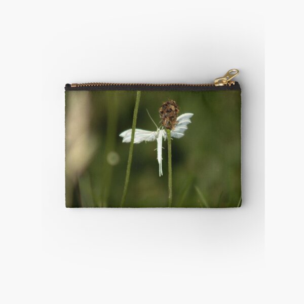 Item preview, white plume moth designed and sold by Francespoppy.