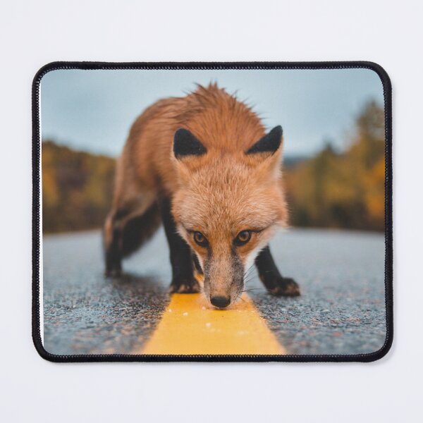 Item preview, Fox on the road designed and sold by Design Kingdom.
