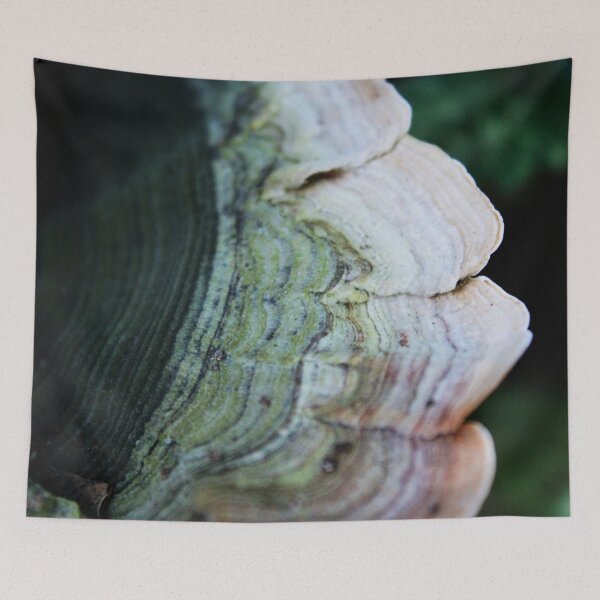 Item preview, Log Fungi 4 designed and sold by Lydia Planalp.