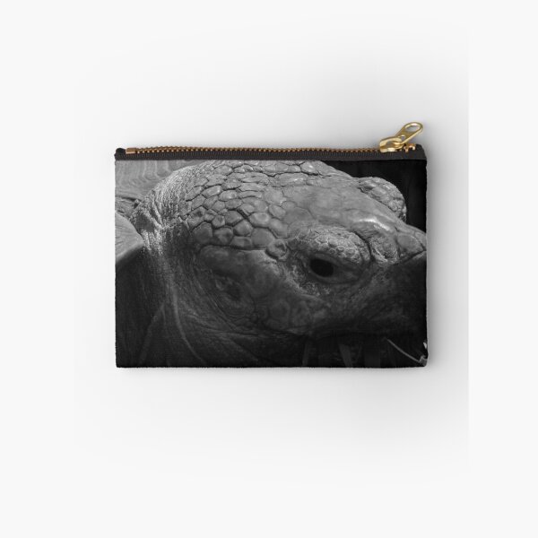 Item preview, Giant tortoise grazing - photograph designed and sold by Paul Davenport.