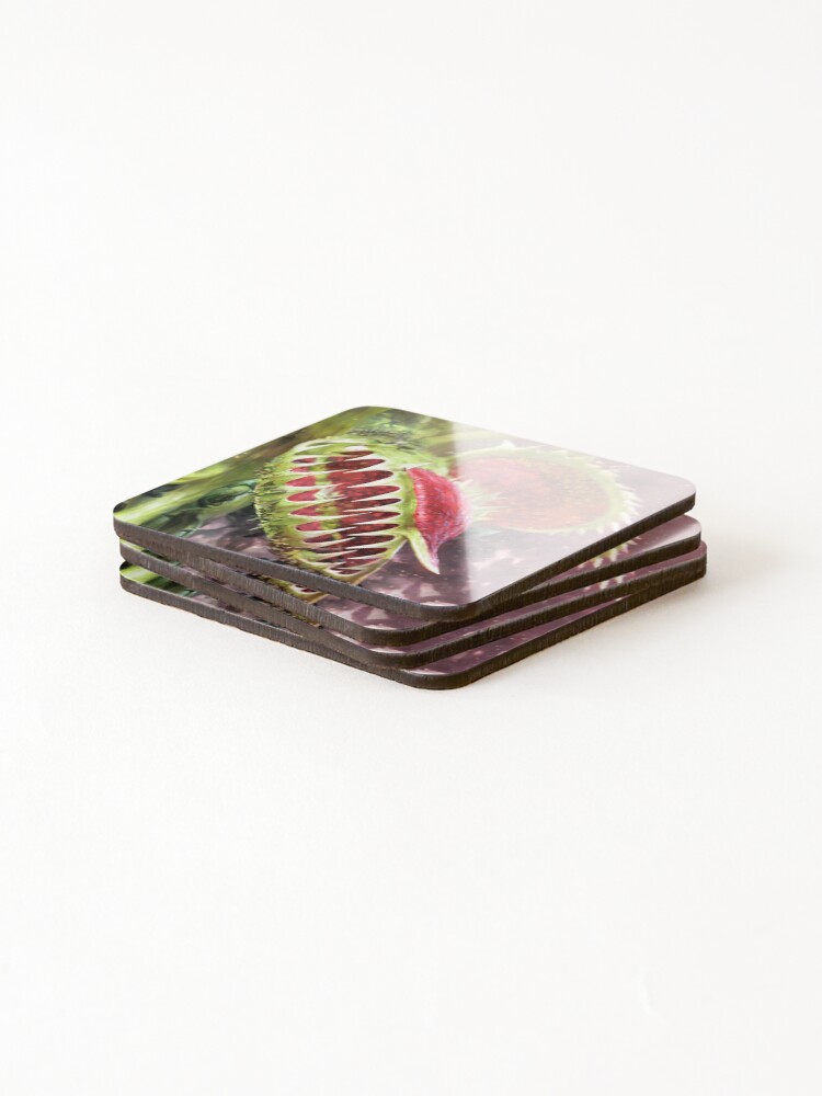 Thumbnail 4 of 5, Coasters (Set of 4), Angry looking Venus flytrap designed and sold by David-Howells.