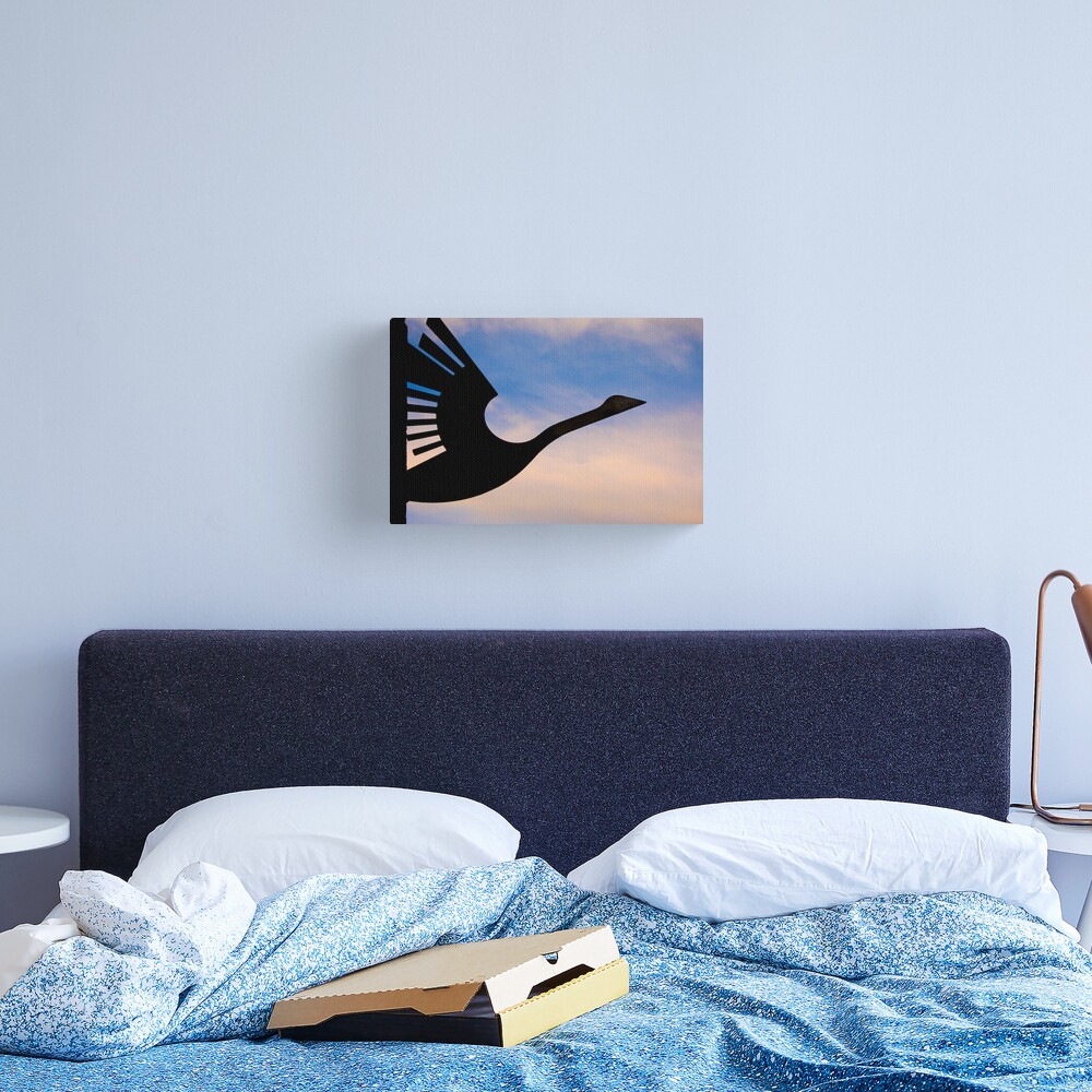 Wanting to take flight Canvas Print