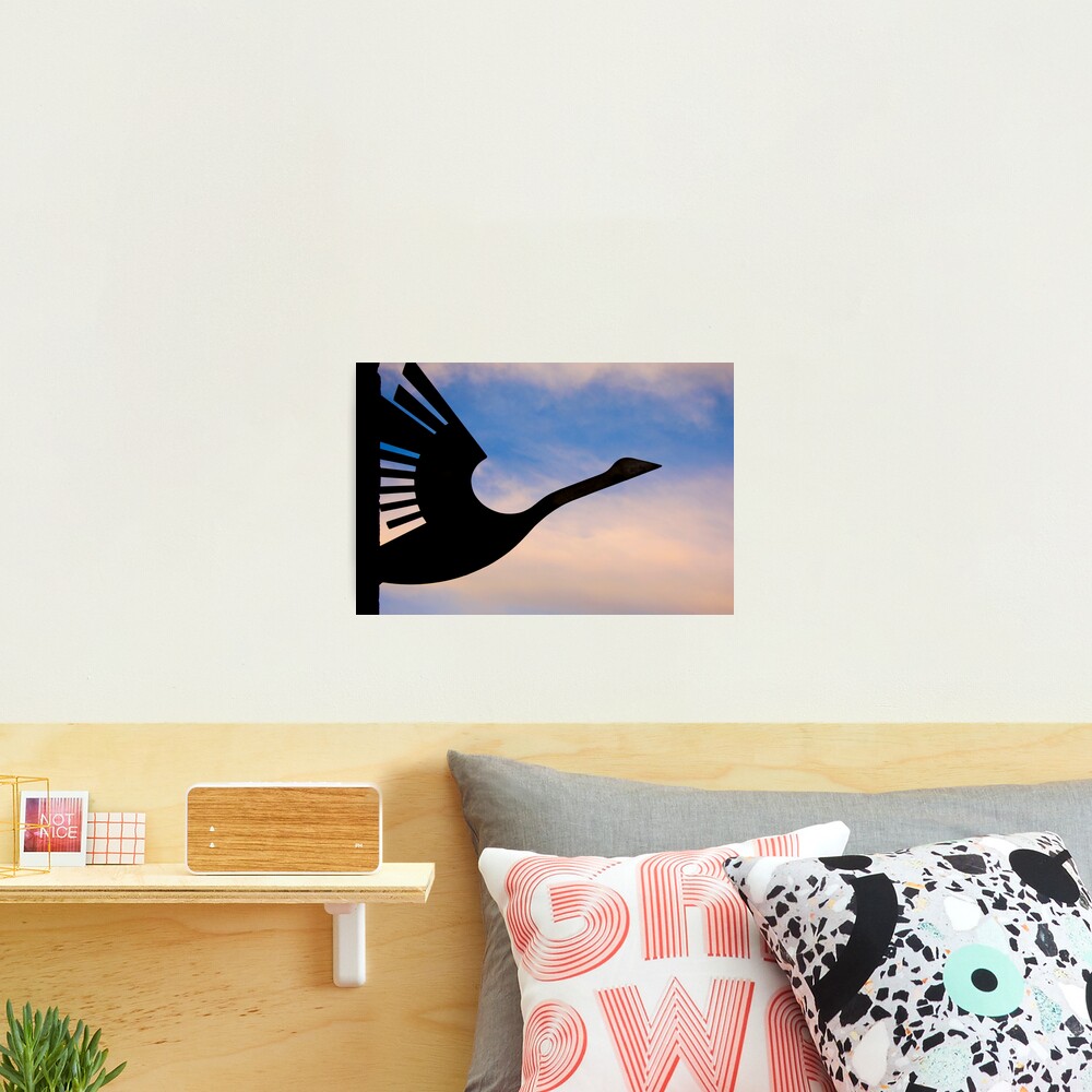 Wanting to take flight Photographic Print