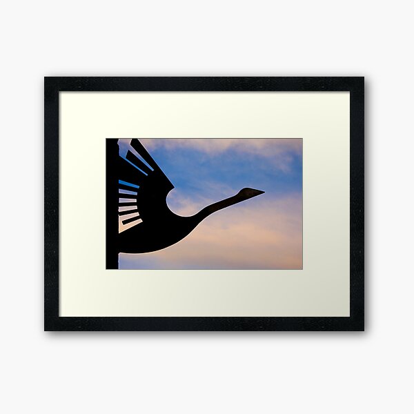Wanting to take flight Framed Art Print