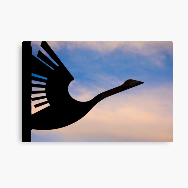 Wanting to take flight Canvas Print