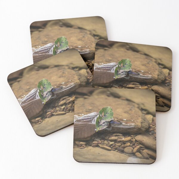 Item preview, Single Green leaf Floating in the River designed and sold by buchholzart.