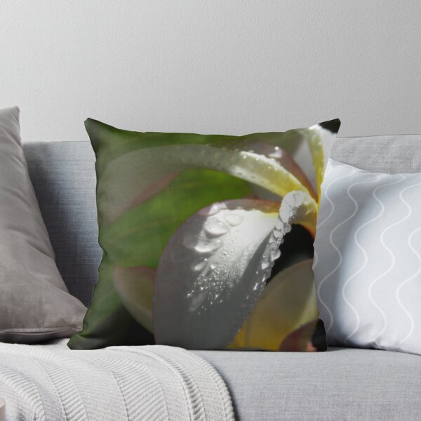 Item preview, White plumeria #3, Big Island, Hawaii designed and sold by JDY Studio Designs.