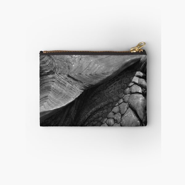 Item preview, Scales of a giant tortoise - photograph designed and sold by Paul Davenport.