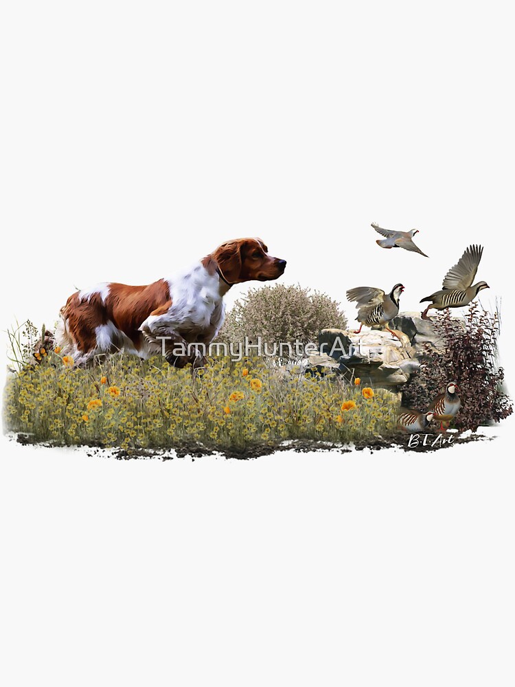French Brittany hunting partridges Art Sticker for Sale by
