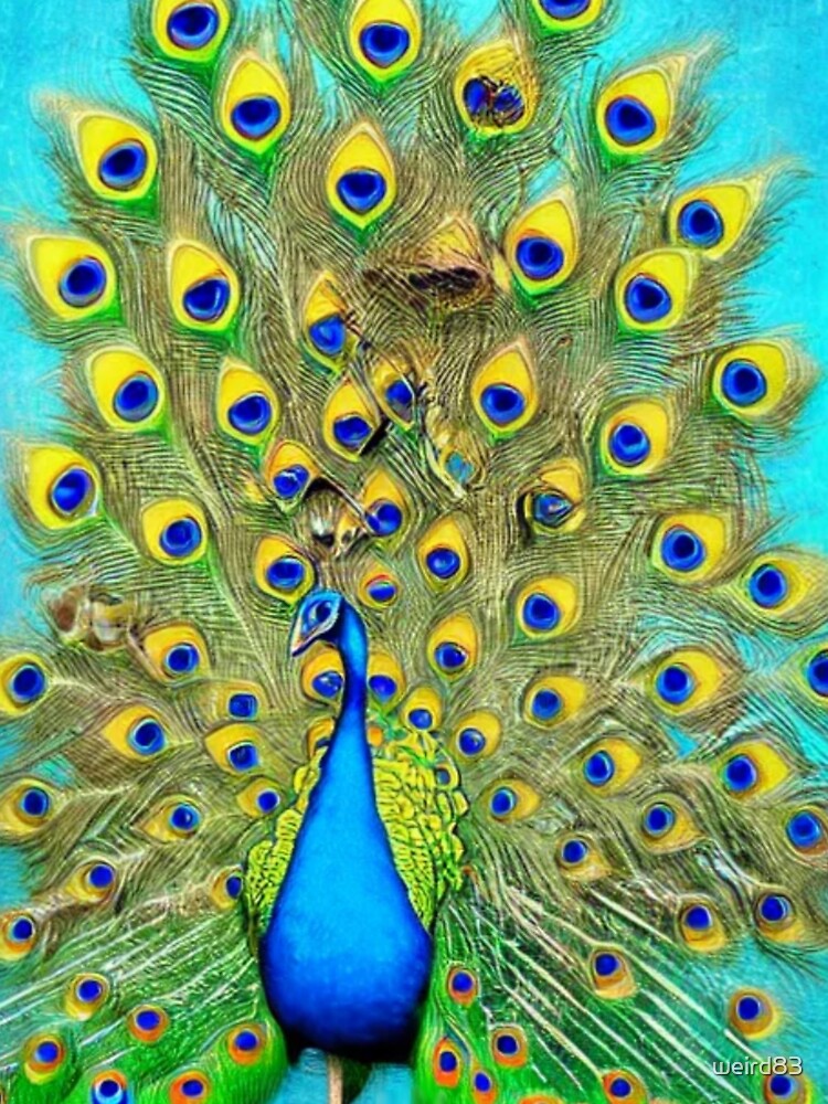 Colorful Peacock feathers abstract bird wings eyes vibrant peacock