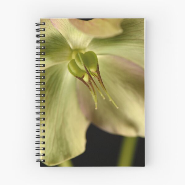 Item preview, Hellebores from the garden designed and sold by craigto.