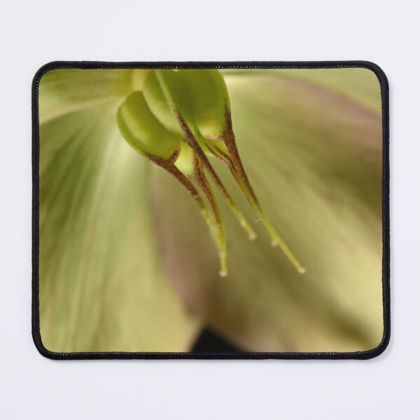 Item preview, Hellebores from the garden designed and sold by craigto.