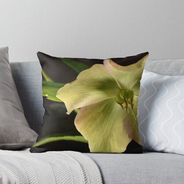 Item preview, Hellebores from my garden designed and sold by craigto.