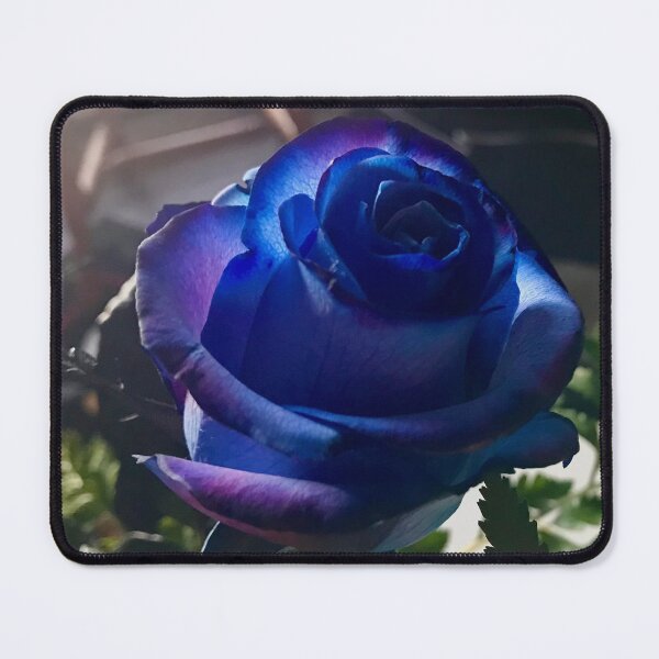 Item preview, Bluebell 2 designed and sold by Little Red Art.