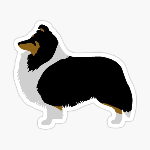Shetland Sheepdog (tri) Sticker
