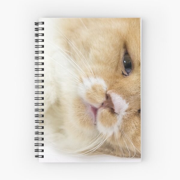 Item preview, Cat Portrait designed and sold by likbatonboot.