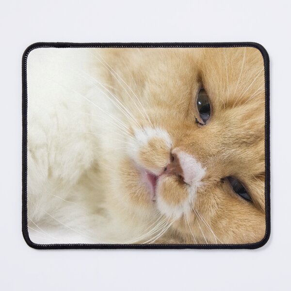 Item preview, Cat Portrait designed and sold by likbatonboot.