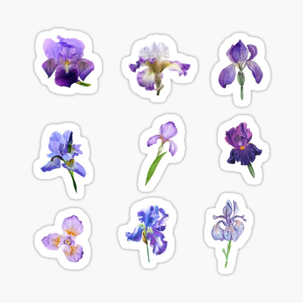 Mixed Beautiful Iris Flowers Sticker