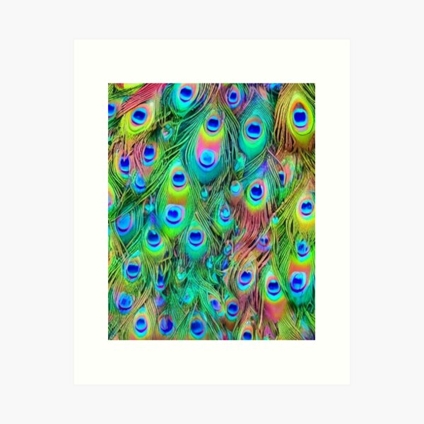 Colorful Peacock feathers abstract bird wings eyes vibrant peacock