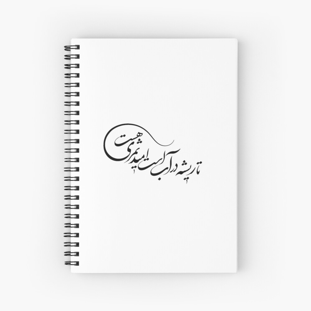 " Persian Calligraphy, Farsi Poem, “تا ریشه در آب است امید ثمری هست