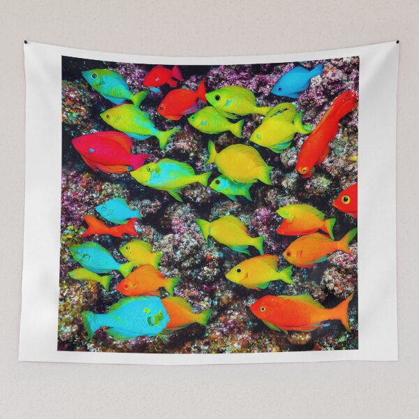 Item preview, Many Very colourful fish  designed and sold by David-Howells.
