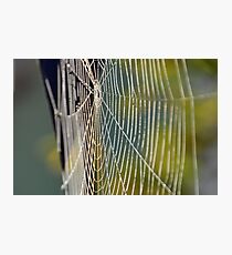 web Photographic Print