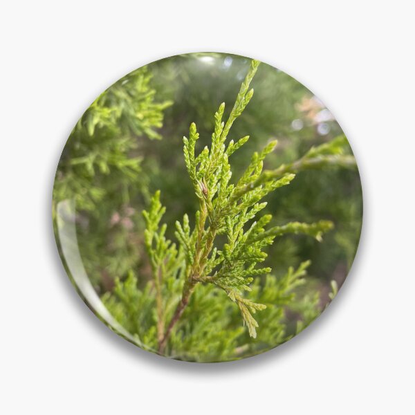 Item preview, Greenie Pines designed and sold by Courtney Tobitt.