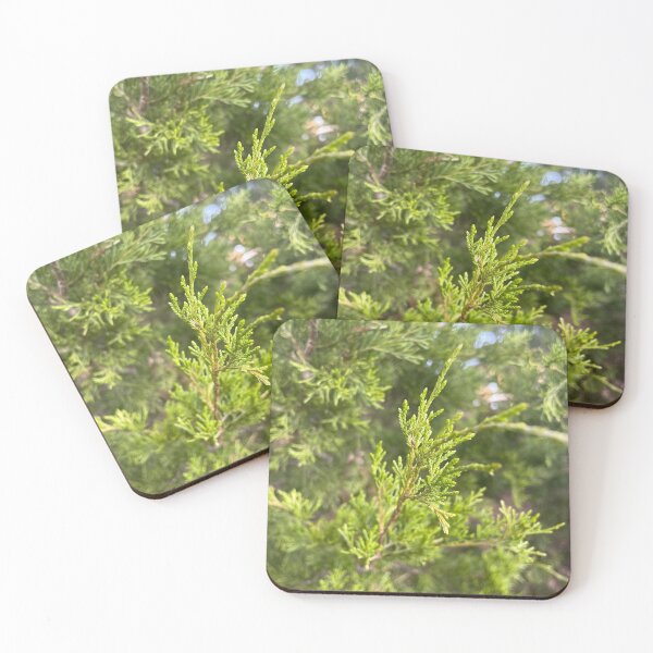 Item preview, Greenie Pines designed and sold by Courtney Tobitt.