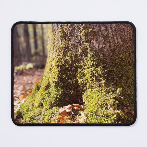 Item preview, Taberna en el tronco del árbol designed and sold by Courtney Tobitt.