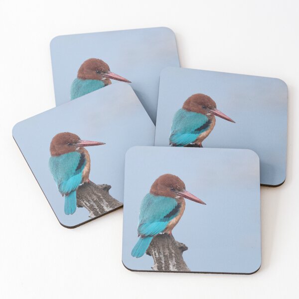 Item preview, White throated Kingfisher Basking in the Sun! designed and sold by Puttaswamy Ravishankar.