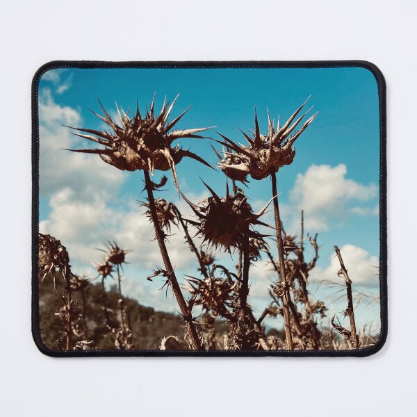 Item preview, Spike plant designed and sold by Tanyateo.