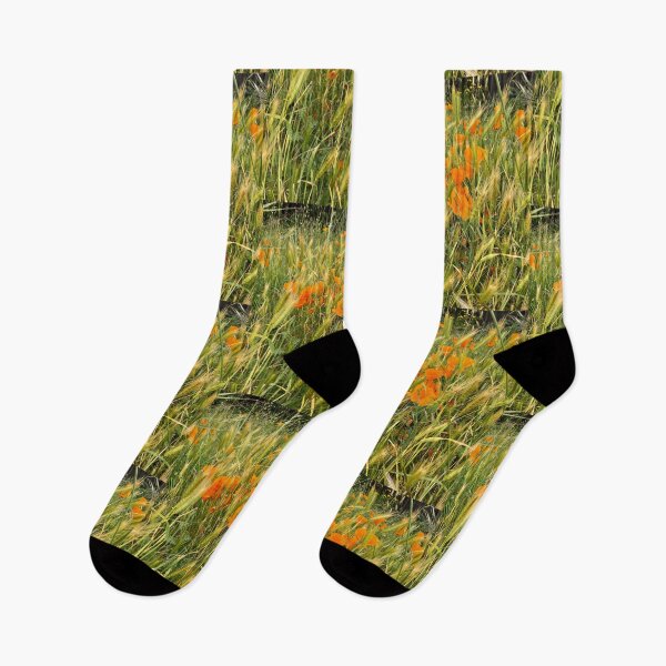 Item preview, Californian poppy  designed and sold by Tanyateo.