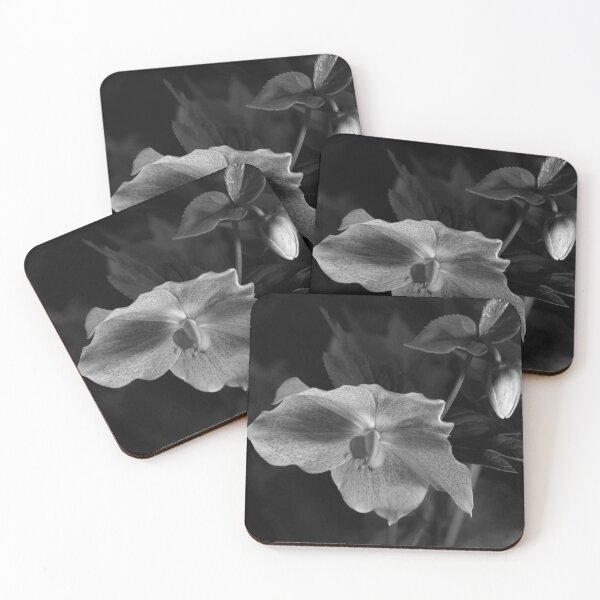 Item preview, Hellebore in Monochrome 1 designed and sold by craigto.